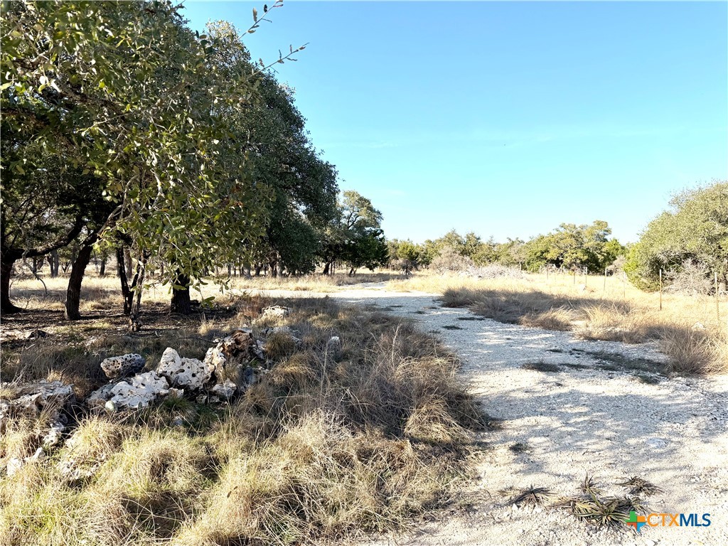 Tbd County Road 233 Road Property Photo 1