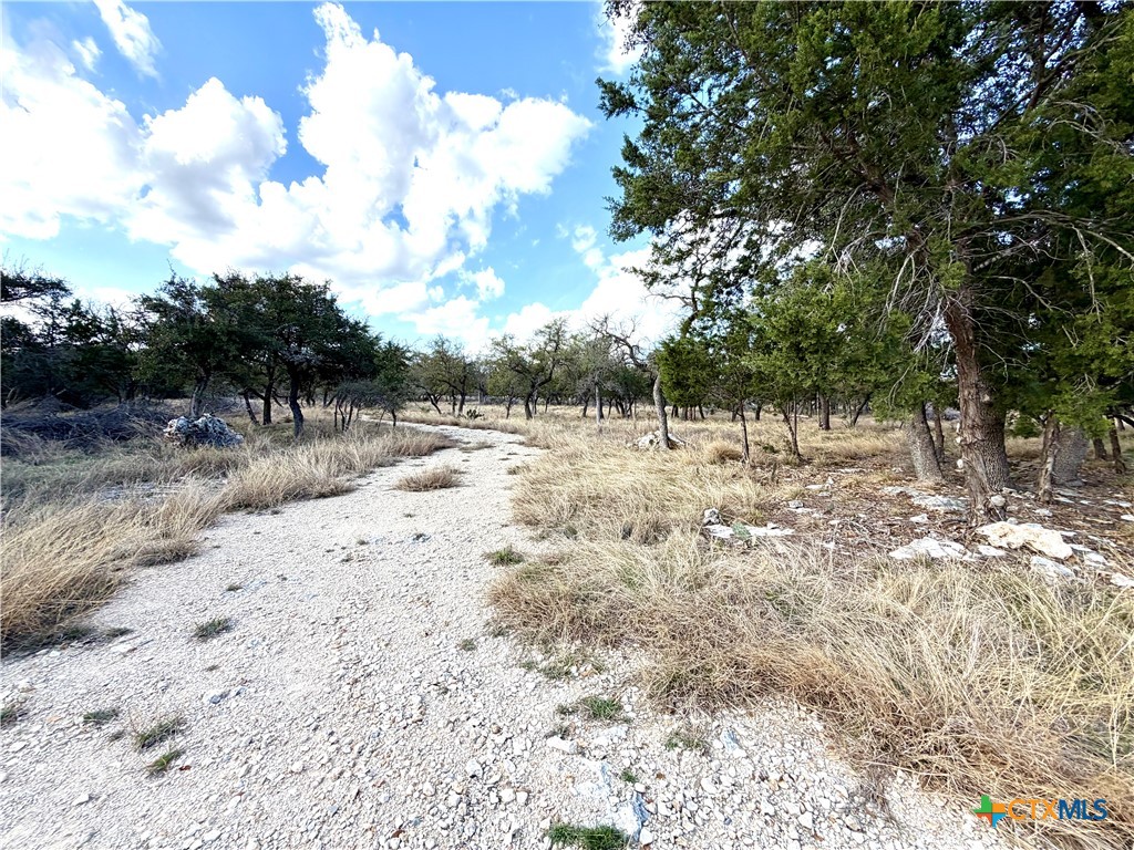 Tbd County Road 233 Road Property Photo 12