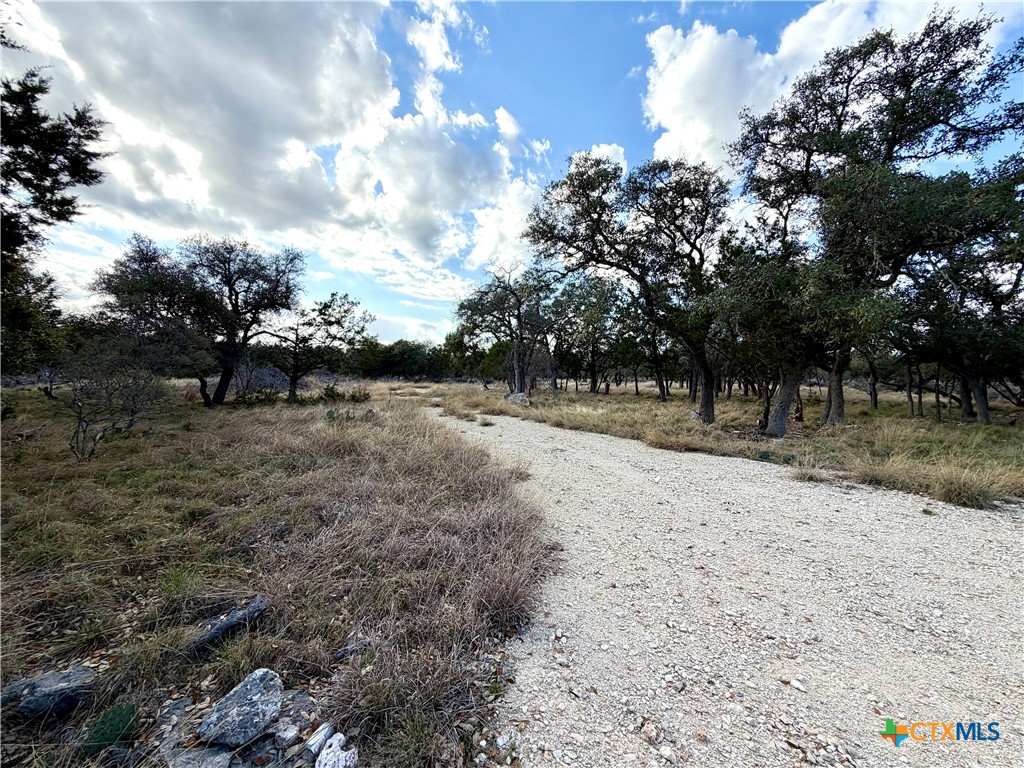 Tbd County Road 233 Road Property Photo 16
