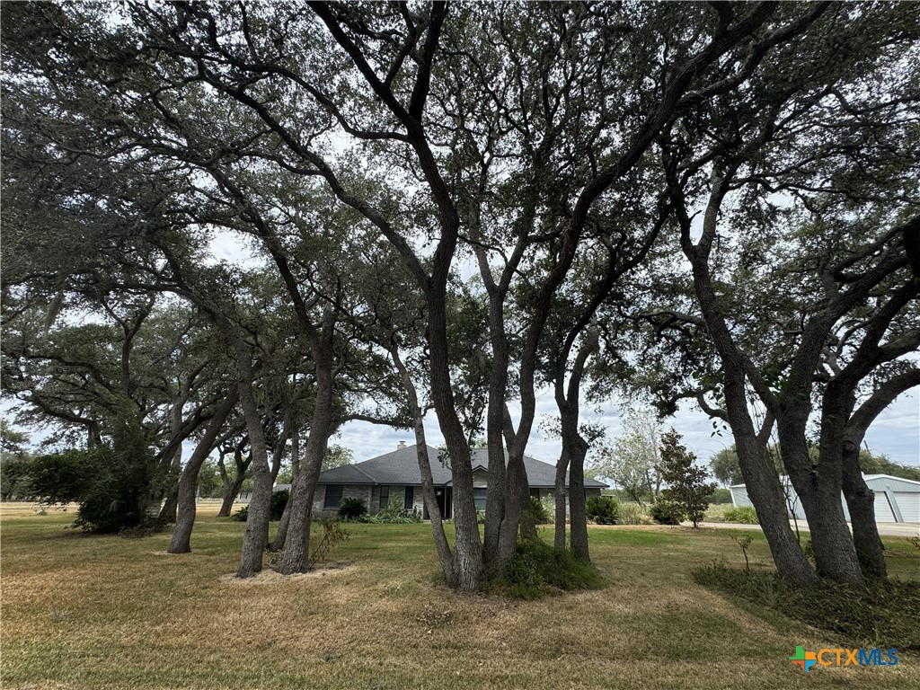 3542 Coletoville Road Property Photo 2