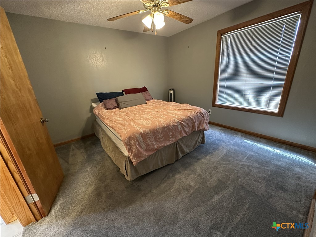 3542 Coletoville Road Property Photo 21