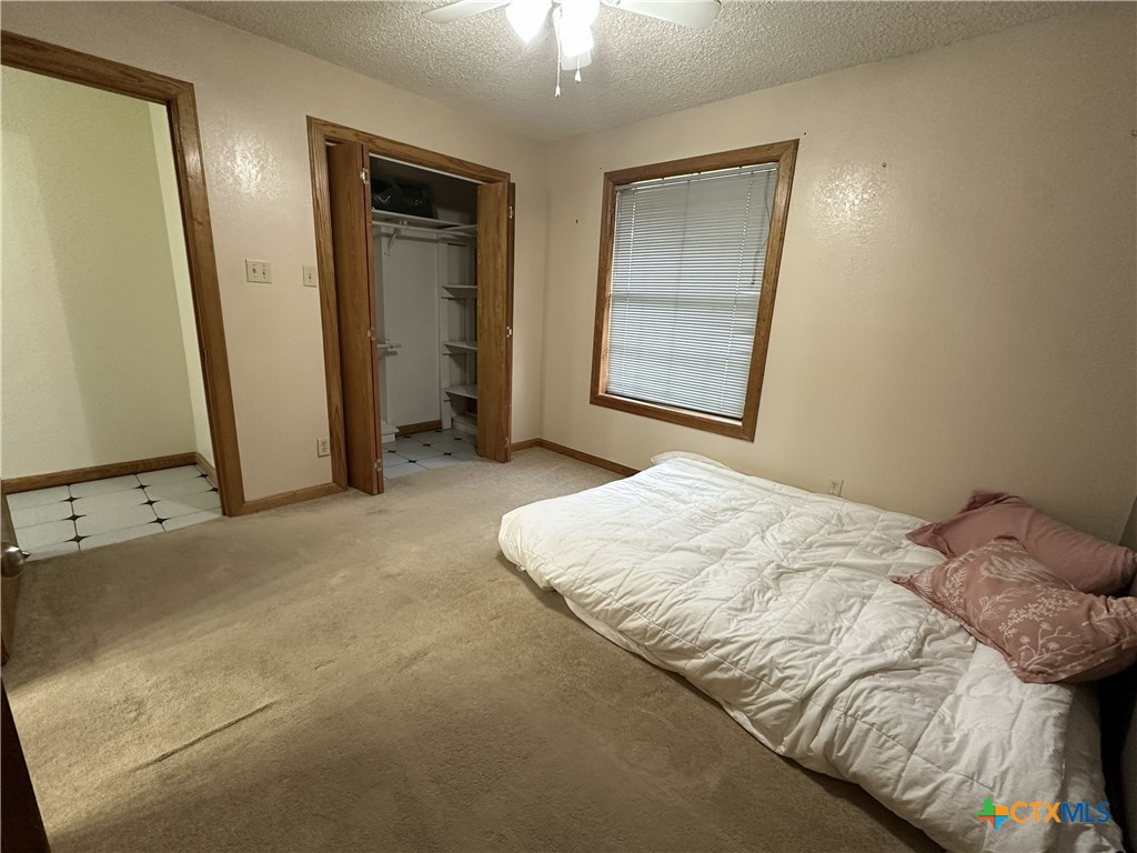 3542 Coletoville Road Property Photo 26