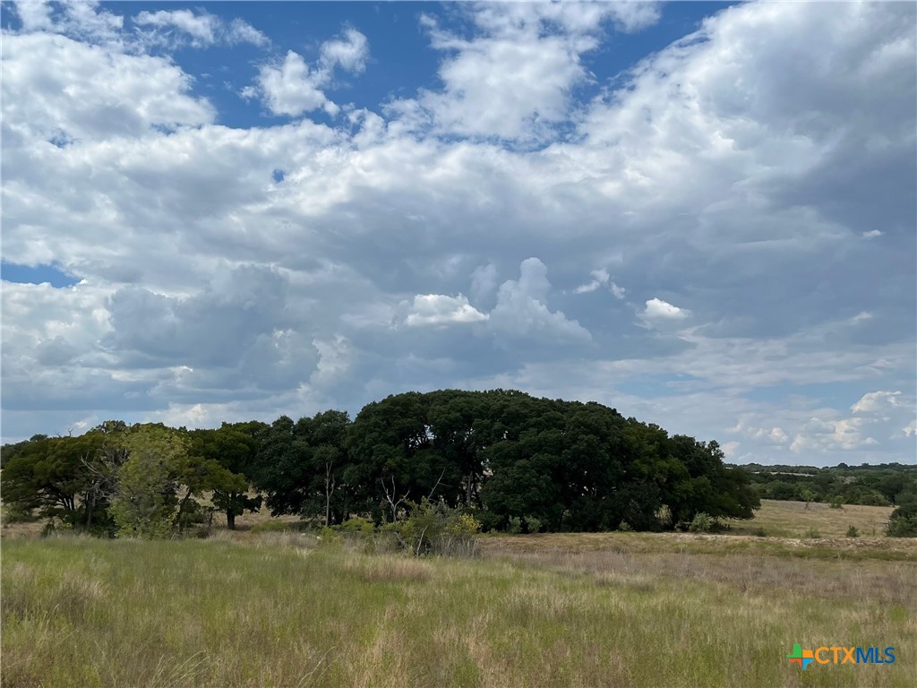 4009 N Highway 183 Property Photo 3