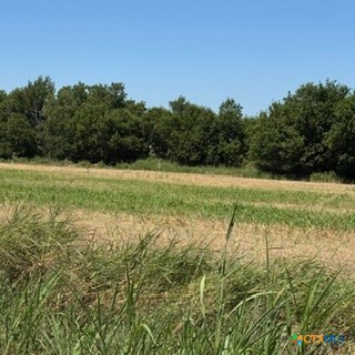 Tbd Tx-95 Property Photo 1