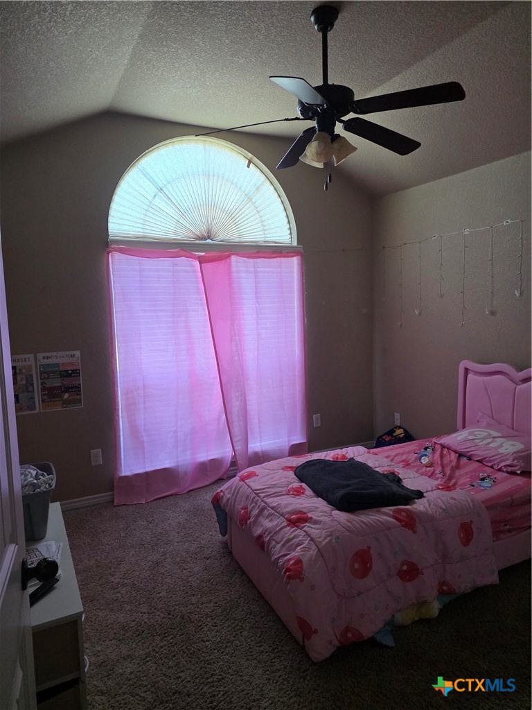 707 Brooklyn Kay Drive Property Photo 15