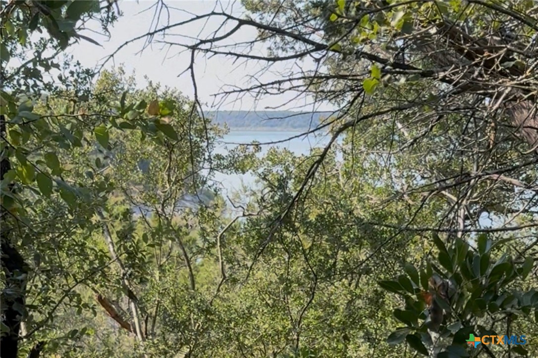 Tbd Brazos Court Property Photo 3