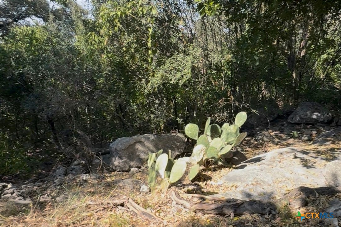 Tbd Brazos Court Property Photo 4