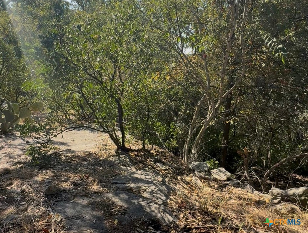 Tbd Brazos Court Property Photo 5