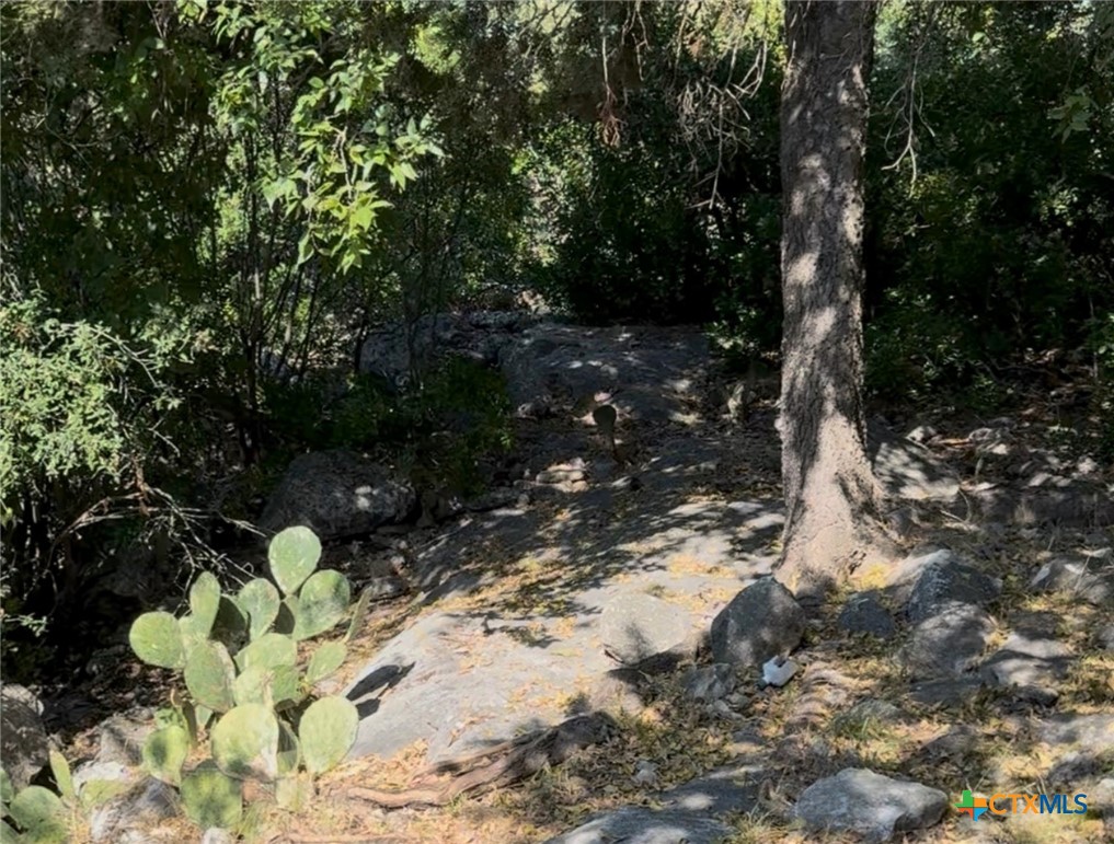 Tbd Brazos Court Property Photo 6