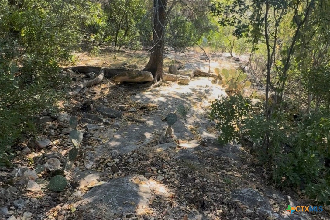 Tbd Brazos Court Property Photo 7