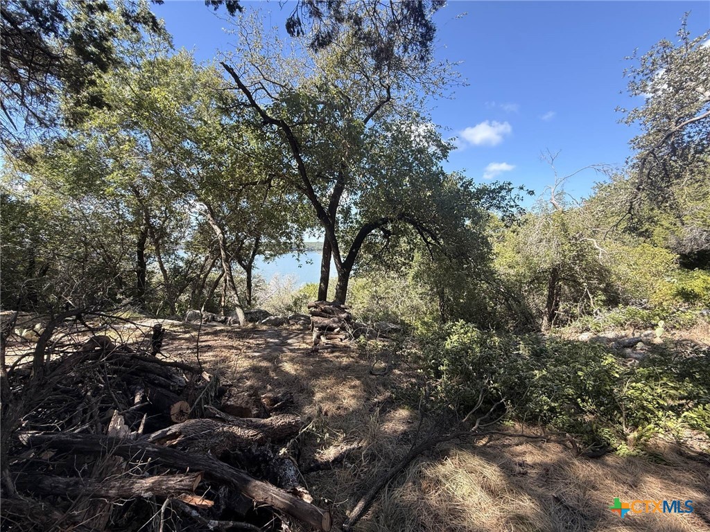 Tbd Brazos Court Property Photo 11