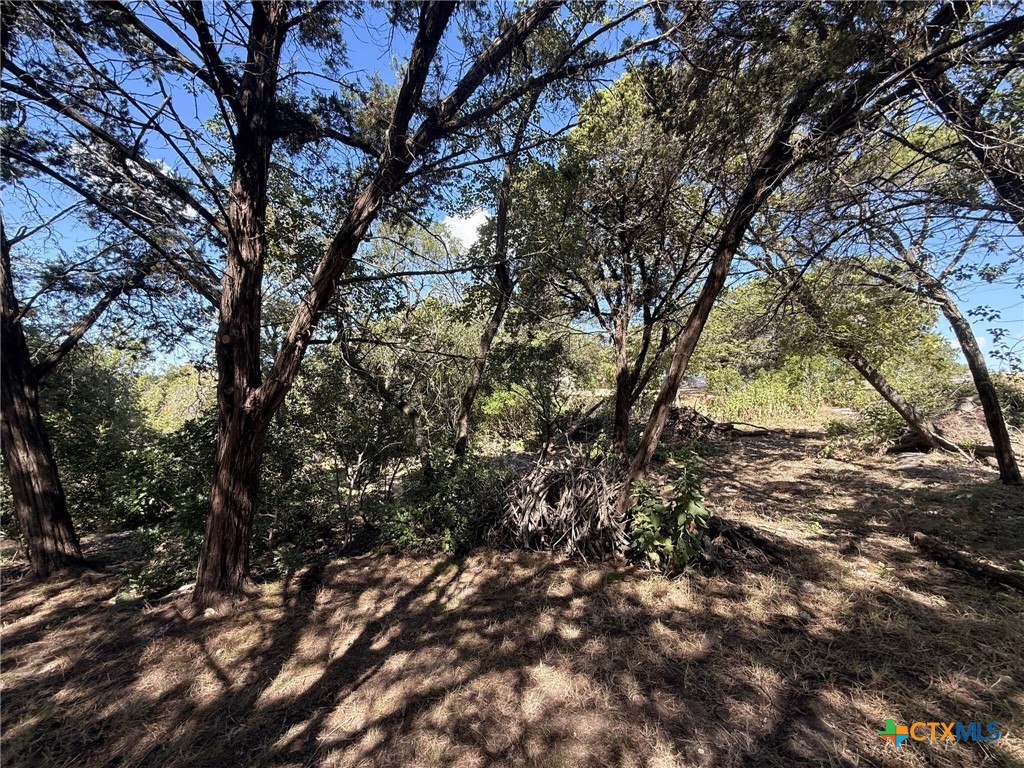 Tbd Brazos Court Property Photo 12