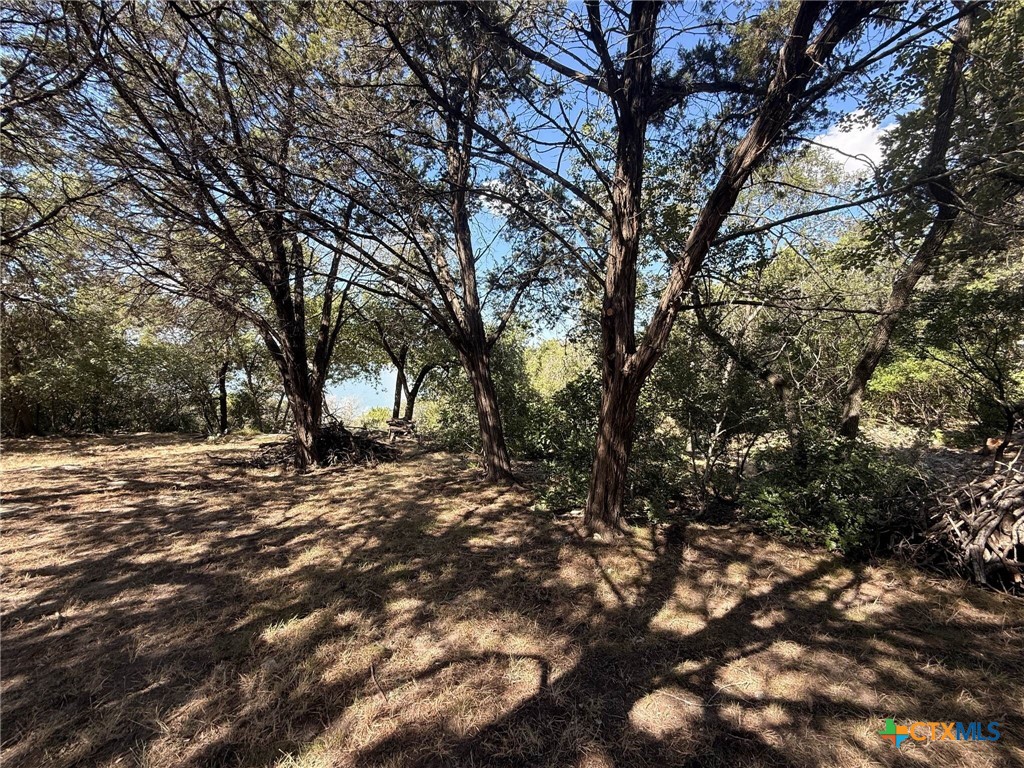 Tbd Brazos Court Property Photo 13