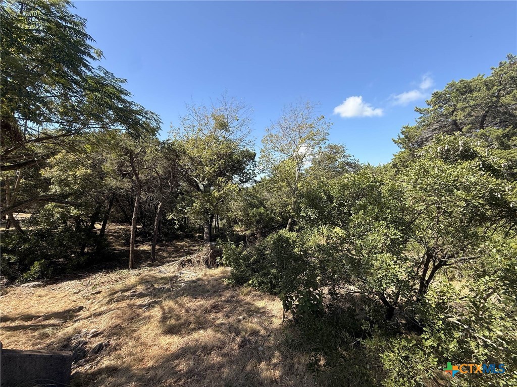 Tbd Brazos Court Property Photo 14