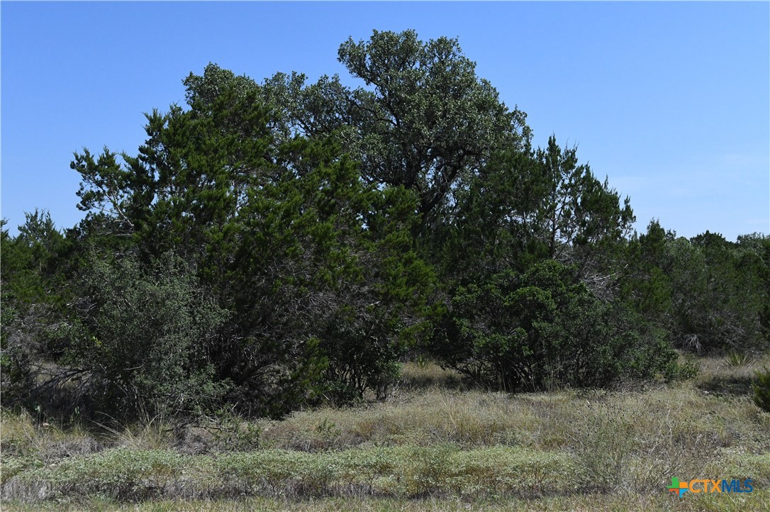 291 Serenity Pass Property Photo 4