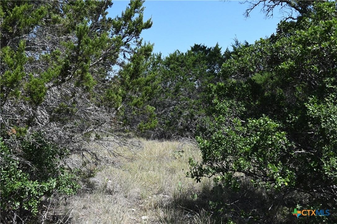 291 Serenity Pass Property Photo 6