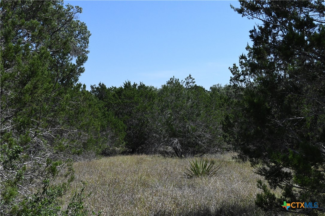 291 Serenity Pass Property Photo 7