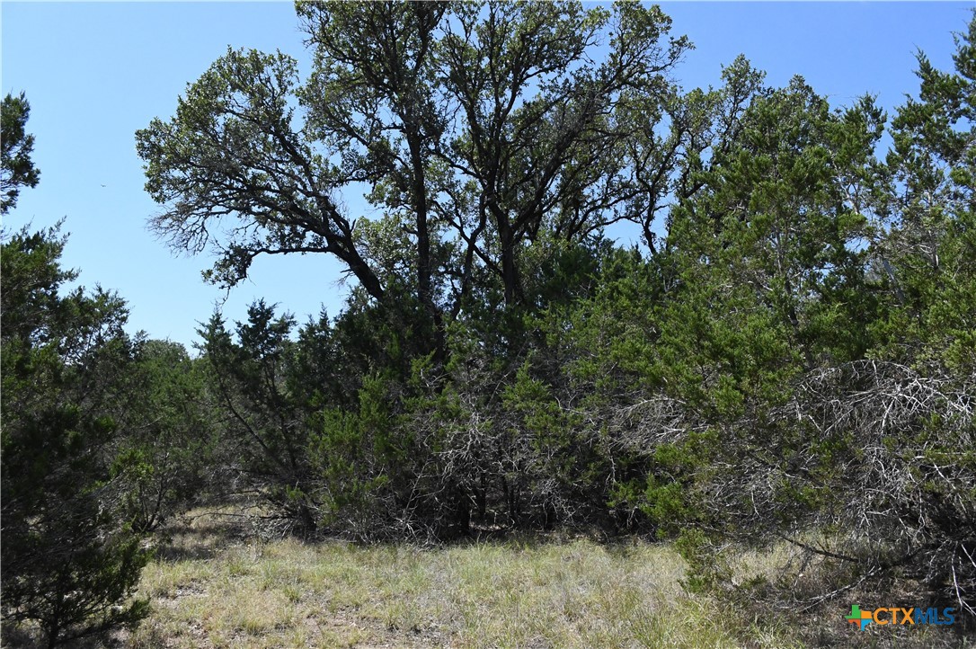 291 Serenity Pass Property Photo 10