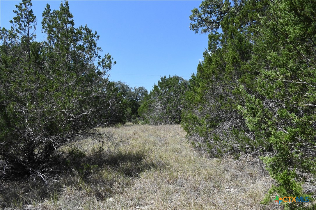 291 Serenity Pass Property Photo 12