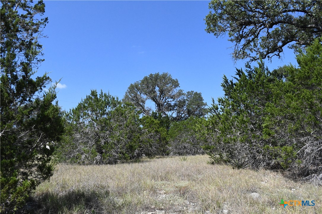 291 Serenity Pass Property Photo 14