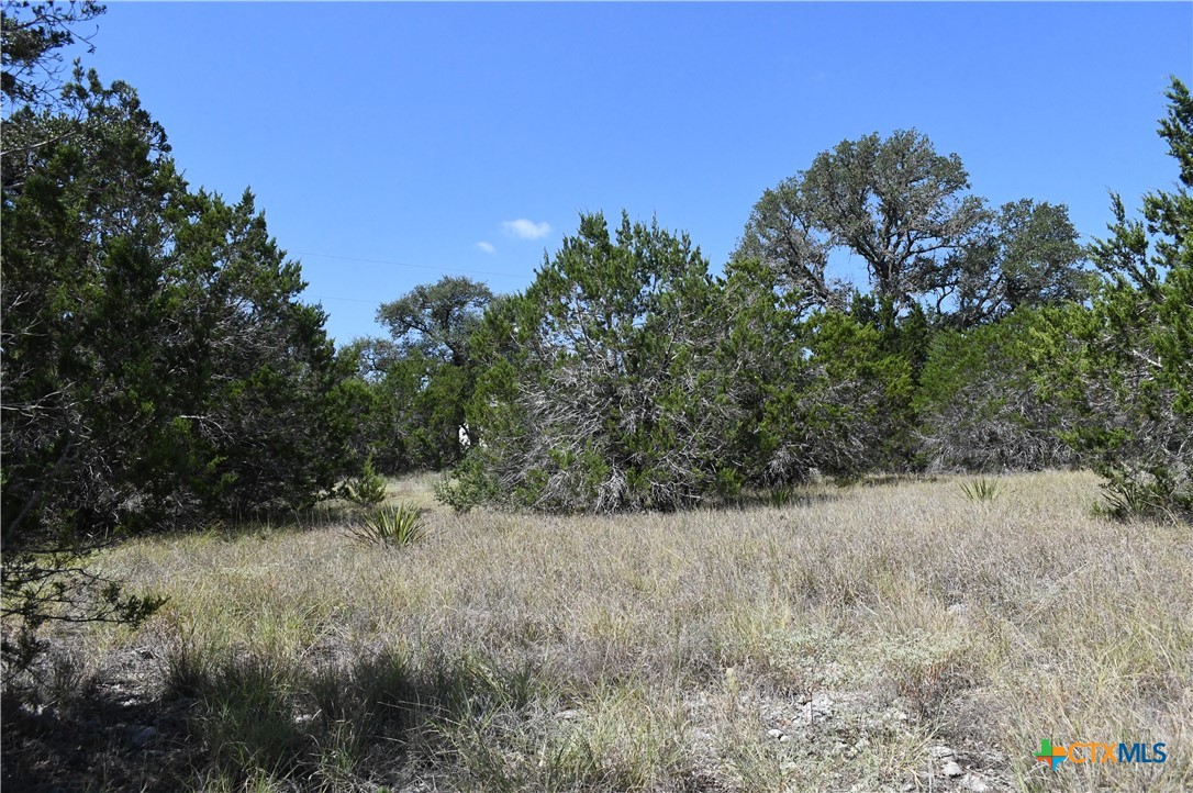 291 Serenity Pass Property Photo 15