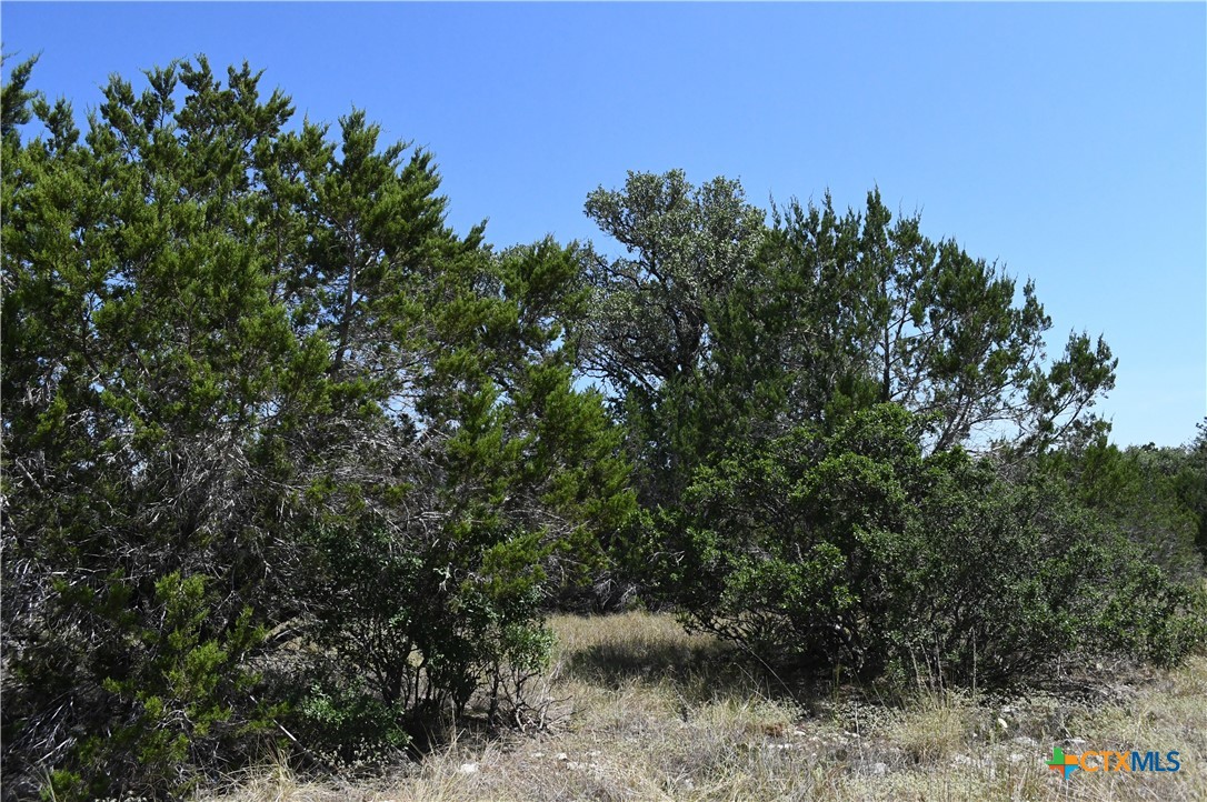 291 Serenity Pass Property Photo 16