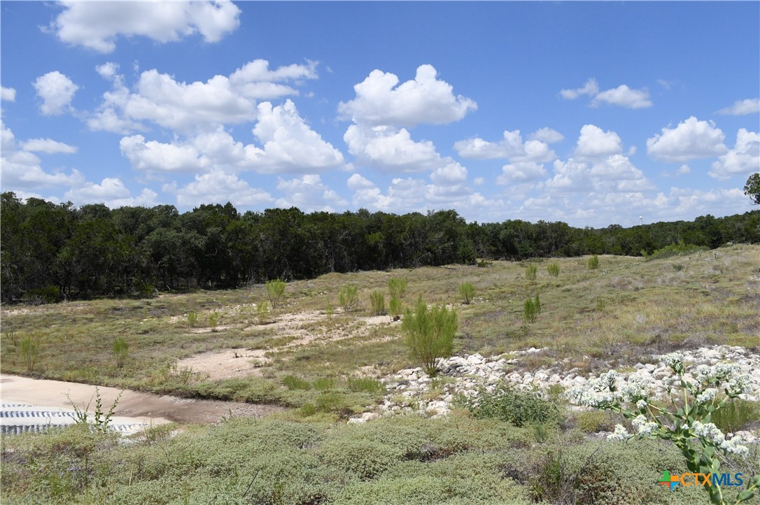 291 Serenity Pass Property Photo 17