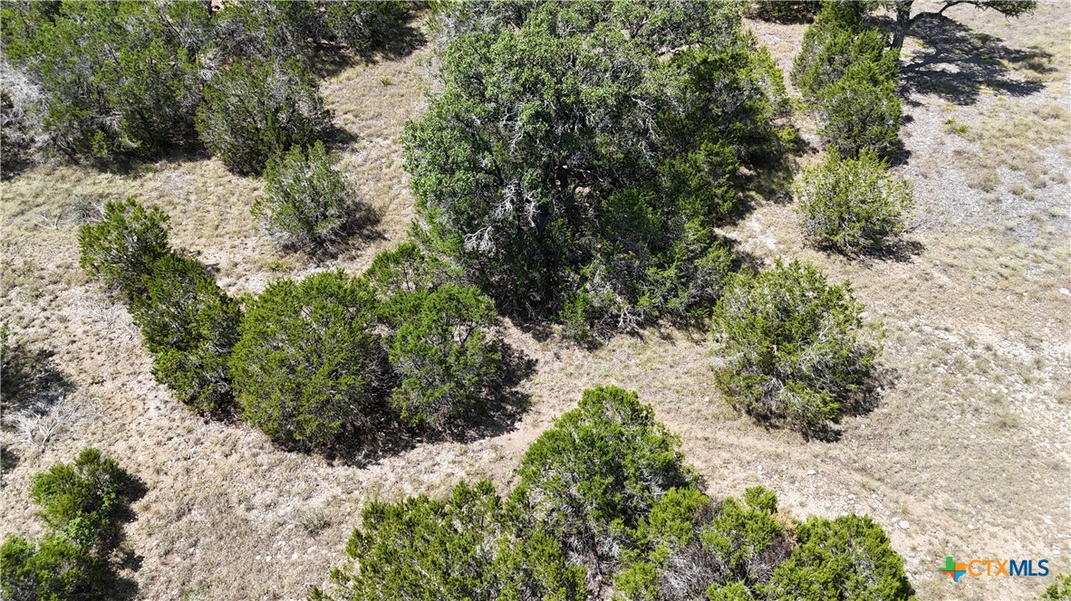 291 Serenity Pass Property Photo 27