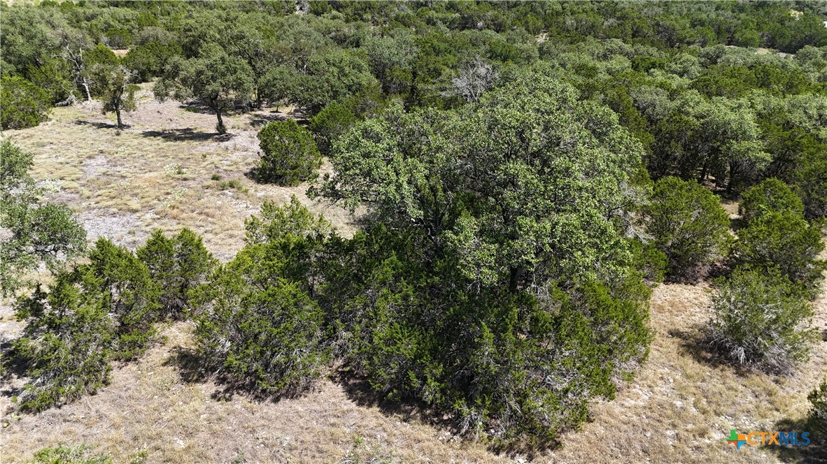 291 Serenity Pass Property Photo 28
