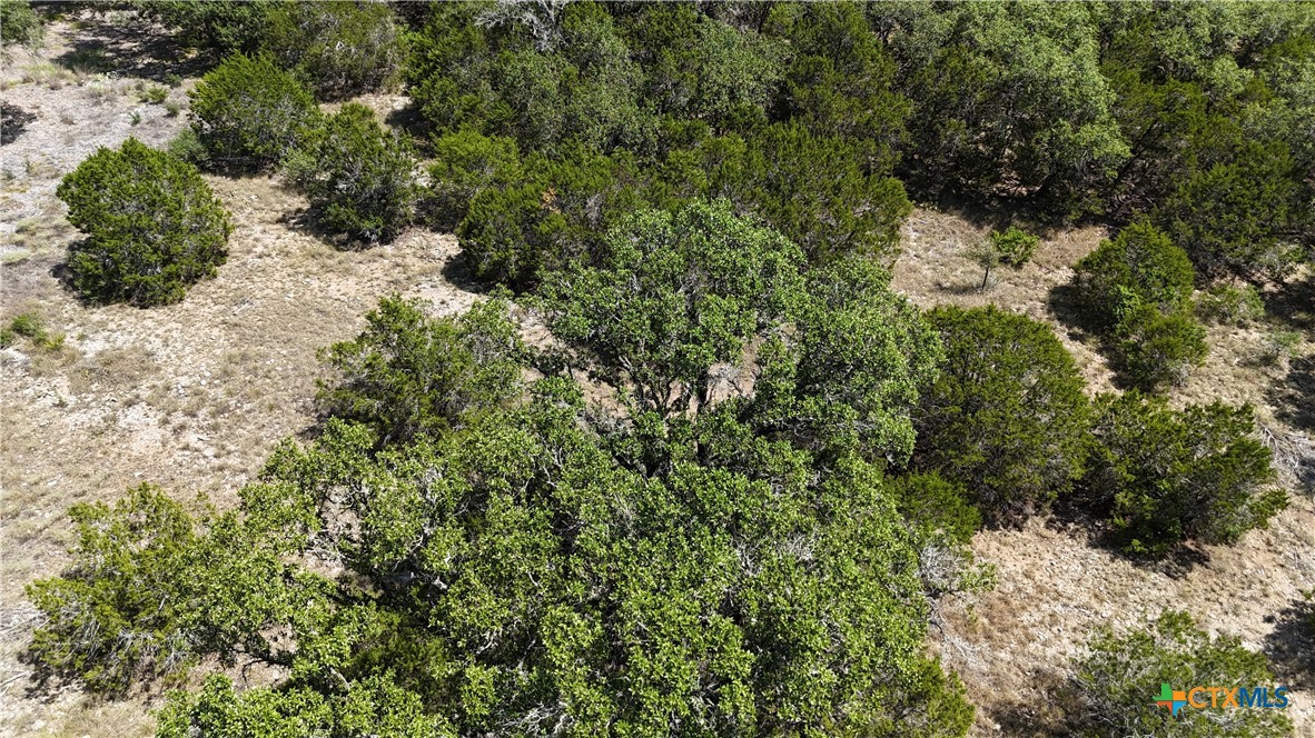 291 Serenity Pass Property Photo 31