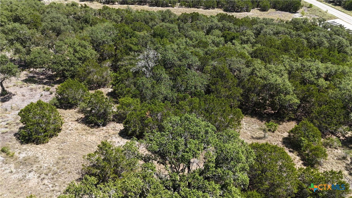 291 Serenity Pass Property Photo 32
