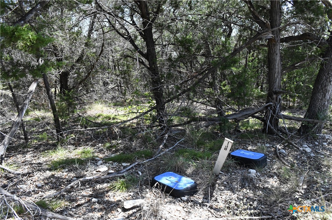 291 Serenity Pass Property Photo 34