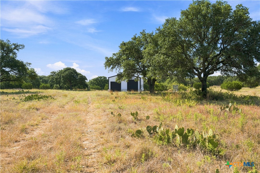 703 Blackbuck Ridge Drive