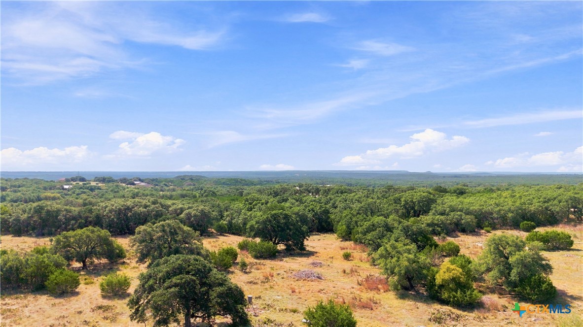 703 Blackbuck Ridge Drive Property Photo 2