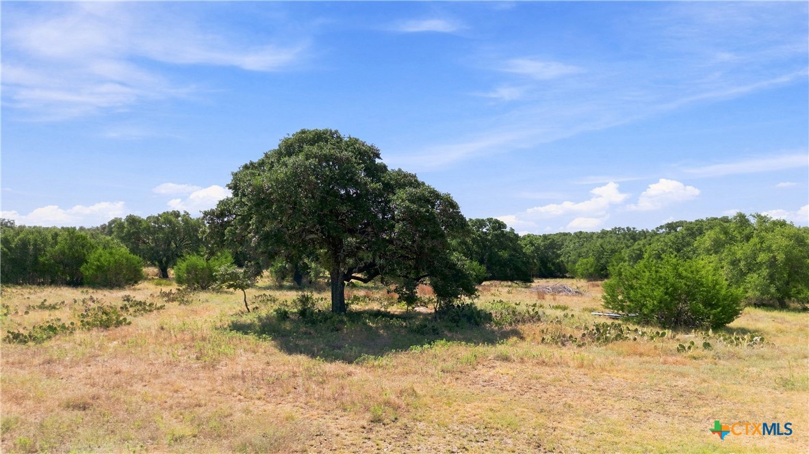 703 Blackbuck Ridge Drive Property Photo 5