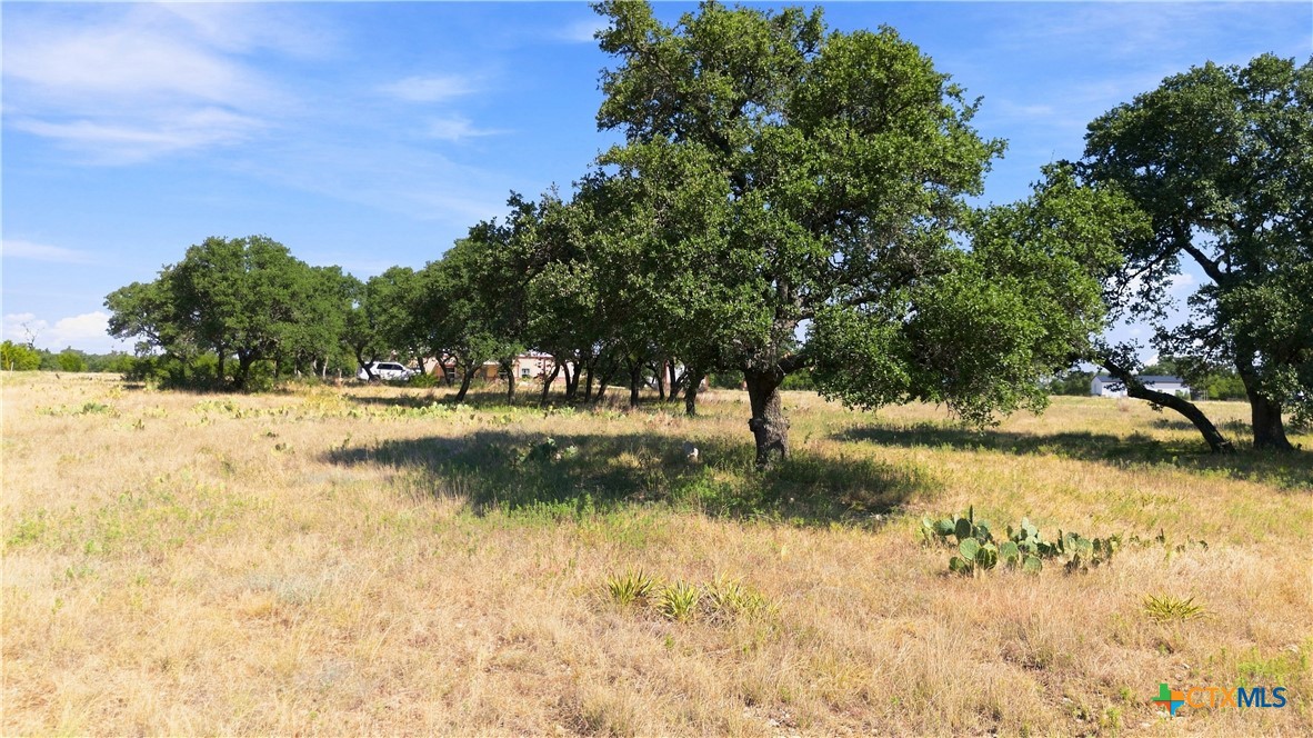 703 Blackbuck Ridge Drive Property Photo 7