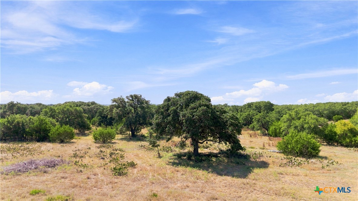 703 Blackbuck Ridge Drive Property Photo 10
