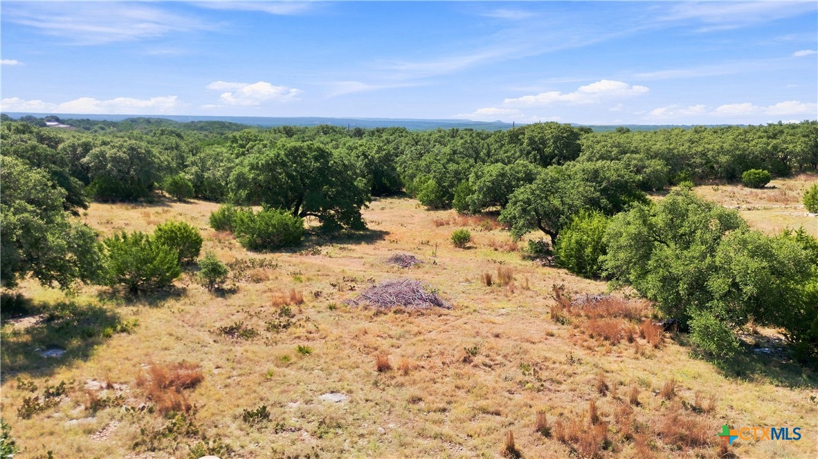 703 Blackbuck Ridge Drive Property Photo 11