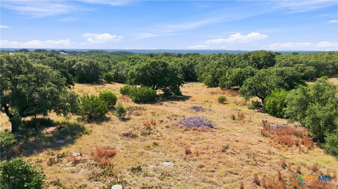 703 Blackbuck Ridge Drive Property Photo 12