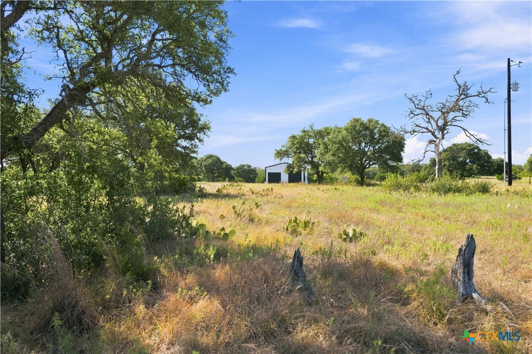 703 Blackbuck Ridge Drive Property Photo 13