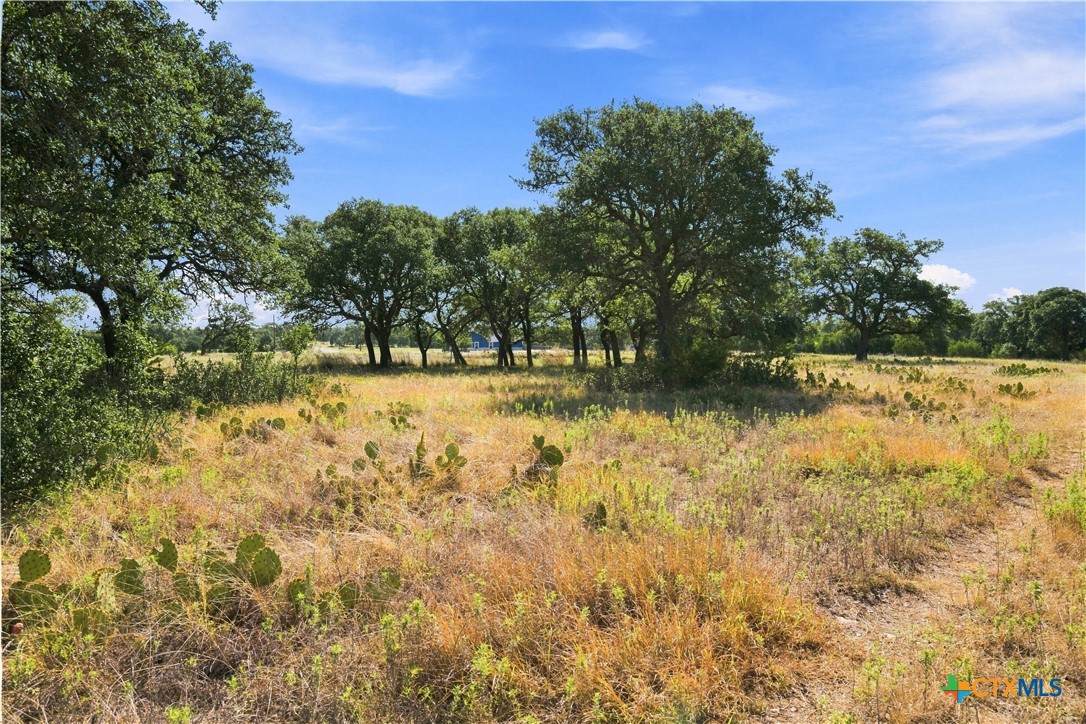 703 Blackbuck Ridge Drive Property Photo 14