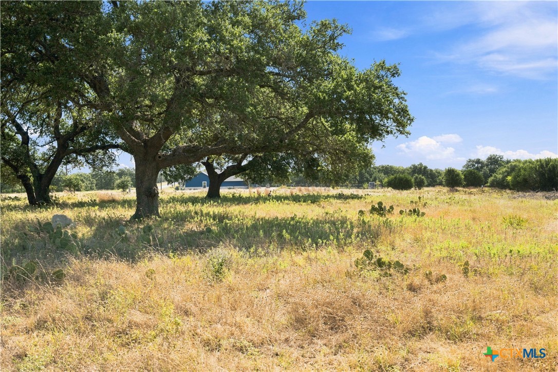 703 Blackbuck Ridge Drive Property Photo 17