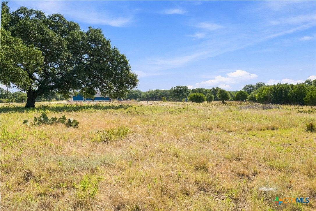 703 Blackbuck Ridge Drive Property Photo 18