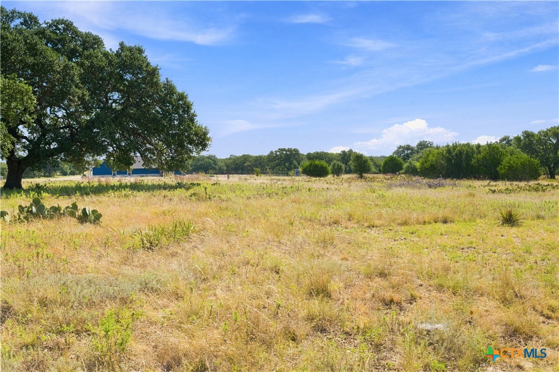 703 Blackbuck Ridge Drive Property Photo 19