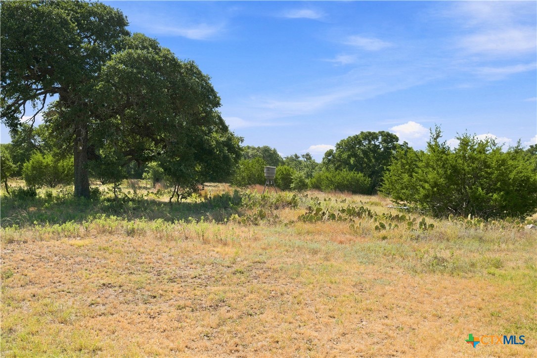 703 Blackbuck Ridge Drive Property Photo 22