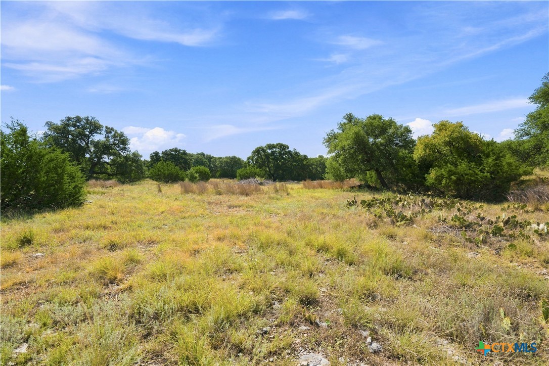 703 Blackbuck Ridge Drive Property Photo 25