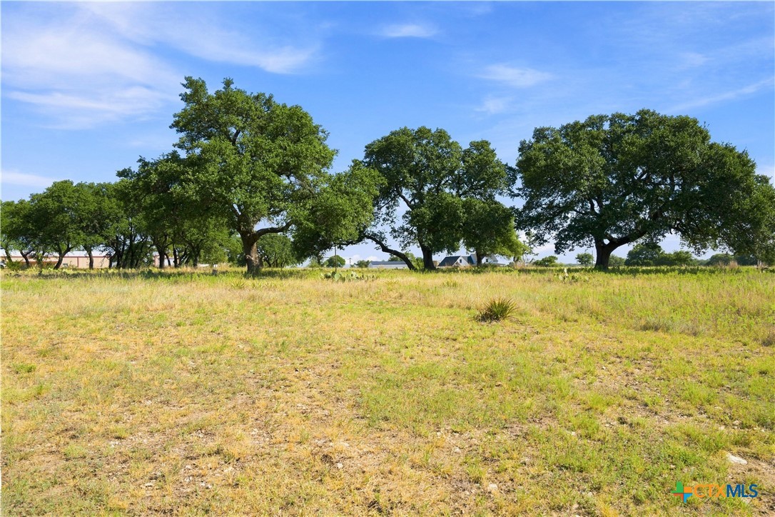 703 Blackbuck Ridge Drive Property Photo 26
