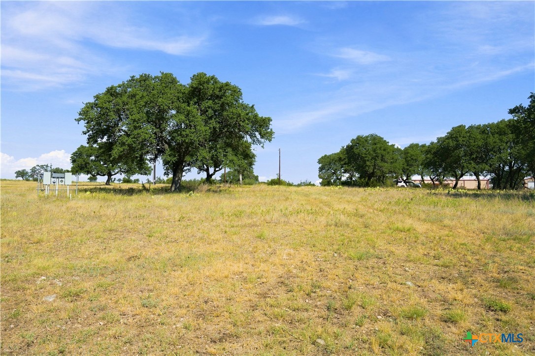 703 Blackbuck Ridge Drive Property Photo 27