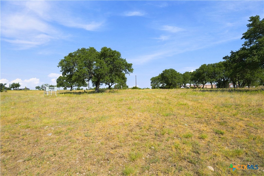 703 Blackbuck Ridge Drive Property Photo 28