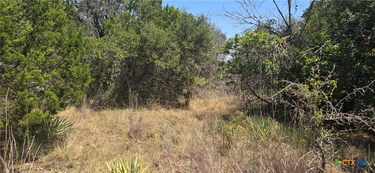 624546 Property Photo 6